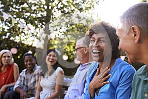 Group Of Mature Friends Socializing In Backyard Together