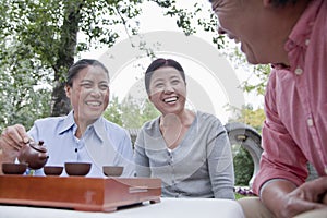 Group of mature people drinking Chinese tea in the park