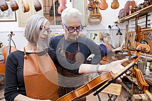 Group of mature violin maker in pose