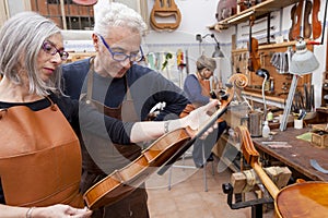 Group of mature violin maker in pose