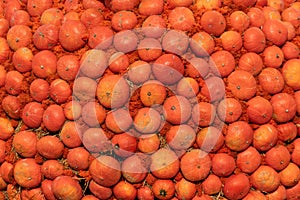 a group of miniature pumpkins shot from above
