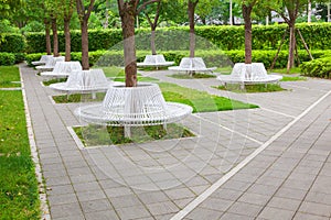 Group of modern iron circle shaped benches installed around tree for resting in city park