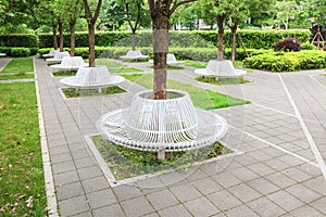 Group of modern iron circle shaped benches installed around tree for resting in city park