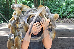 Group of monkeys assaulting a man photo