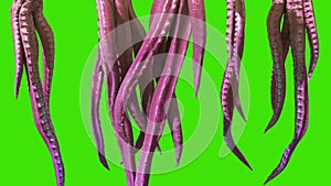 Group Monster Tentacles Green Screen 3D Rendering Animation