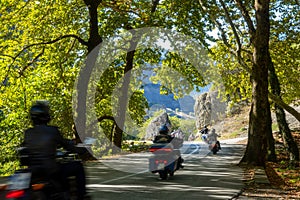 Group of Motorcyclists on a Forest Mountain Road