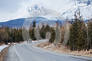 Group of mountain bikers riding on road outdoors in winter.