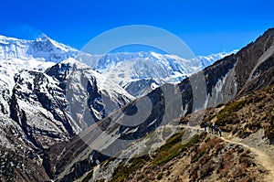 Group of mountain trekkers backpacking in Himalayas landscape