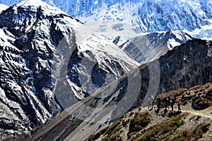 Group of mountain trekkers backpacking in Himalayas mountains photo