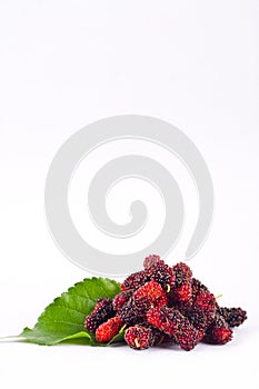 Group of mulberries with aleaves on white background healthy mulberry fruit food isolated