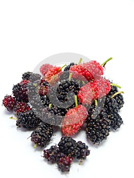 Group of mulberries isolated