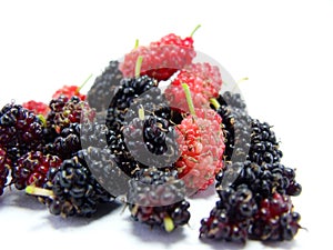 Group of mulberries isolated