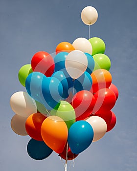 Group of multi colored balloons tied together in the blue sky.