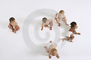 Group Of Multiethnic Babies