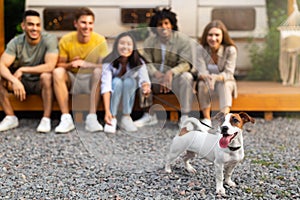 Group of multiethnic friends sitting near motorhome on camping trip, focus on cute dog, copy space