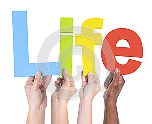 Group of Multiethnic Hands Holding Life