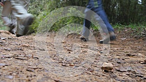 Group of multiracial hikers walking along the forest path. Tourists with backpacks hiking on footpath through the woods