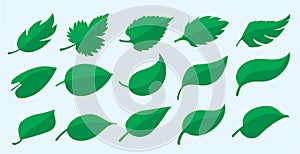 A group of natural leaf symbols and Icons that portray sustainablity, fresh, growth, spring, life in the summer, icon, logo, mark