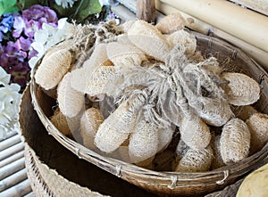 Group of Natural Luff Sponges in Traditional Rattan Basket made from Dry Zucchini use for for Spa Accessories to Scrub Body Skin