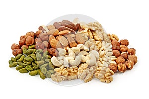 Group of nuts photo