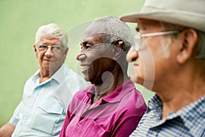 Group of old black and caucasian men talking in park