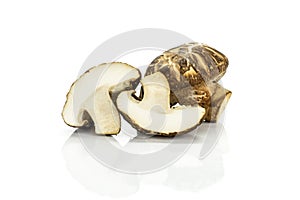 Fresh raw shiitake mushroom isolated on white