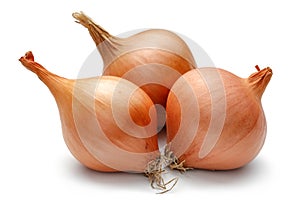 Group of onion bulbs on white background