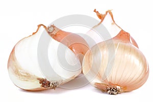 Group of onions