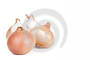 Group of onions