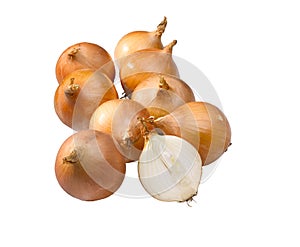 Group of onions