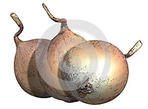 Group of onions drawn on a white background