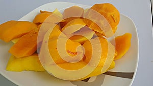 Group of onions in a plate on white background