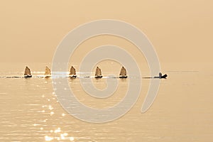 Group of Optimist sails towed into port bu rubber boat