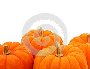 Group Of Orange Gourds Over White
