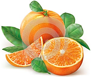 Group oranges fruits