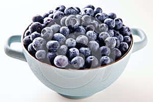 Group of organic blueberries.
