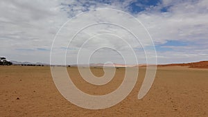 A group of Oryx antelope graze at sossusvlei, background red dunes