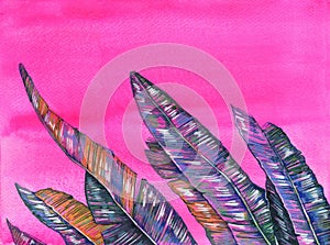 Group of palm leaves on the bottom of the page. Hand drawn painted watercolor watercolor illustration. Green plants on pink