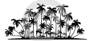 Group of palms Vector Silhouettes