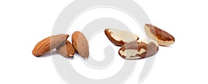 Group para nuts and almond