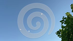 A group of parachutists with white parachutes floating in the sky as seen from below.