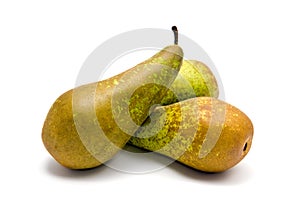 Group of pears photo