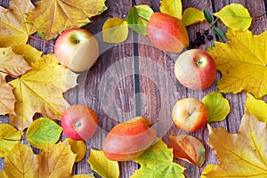 Group Pears and apples with autumn leaves on wooden background, closeup, top view, autumn harvest concept