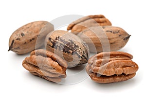 Group of pecan nuts