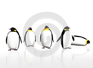 A group of penguin birds on white background