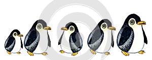 A group of penguins is depicted in one row. Isolated on white background.