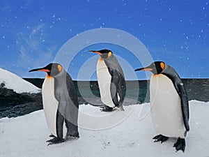 Group of penguins walking on ice beach in daytime with snowfall and blue sky