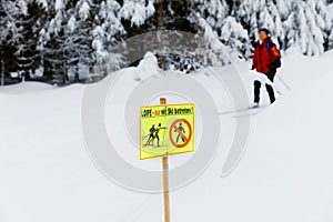 Group of people cross country skiing on beautiful winter day. Cross-Country Skiing in Germany, in snowy forest.