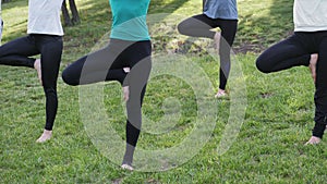 A group of people do yoga in the Park at sunset. Healthy lifestyle, meditation and Wellness