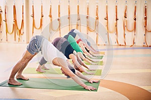 Group of people doing yoga downward facing dog pose on mats at studio